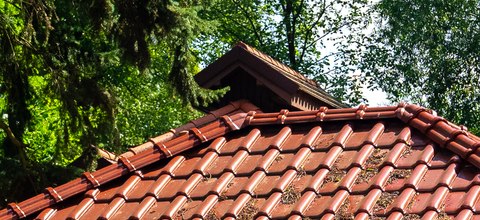 Lišajníky, machy a riasy - skrytá hrozba pre škridle v jesennom a zimnom období